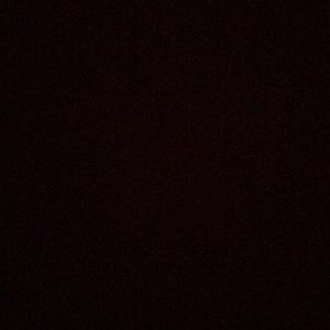 Meet your Posher, Angelica